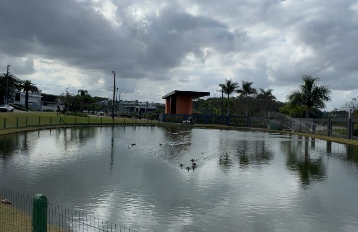 IMG_0787_resultado