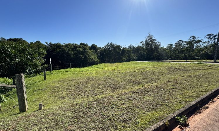IMG_5082-1 IMG_5082-1